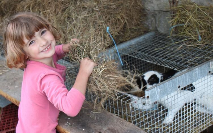 Ferme Pedagogique " L'Bout D'Chemin" Villa Genevreuille Dış mekan fotoğraf