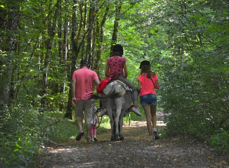 Ferme Pedagogique " L'Bout D'Chemin" Villa Genevreuille Dış mekan fotoğraf