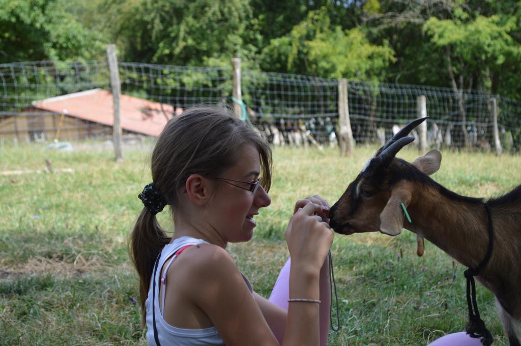 Ferme Pedagogique " L'Bout D'Chemin" Villa Genevreuille Dış mekan fotoğraf