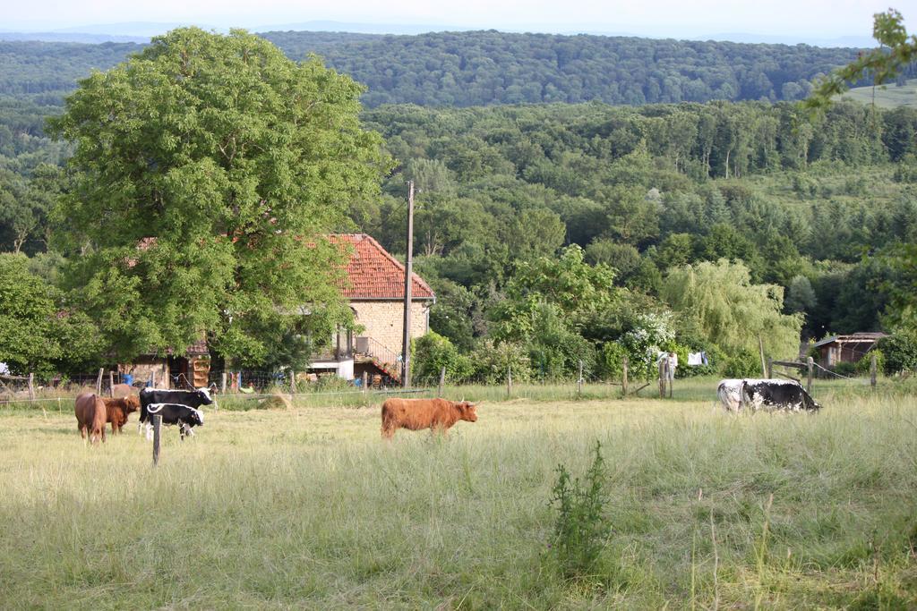 Ferme Pedagogique " L'Bout D'Chemin" Villa Genevreuille Dış mekan fotoğraf